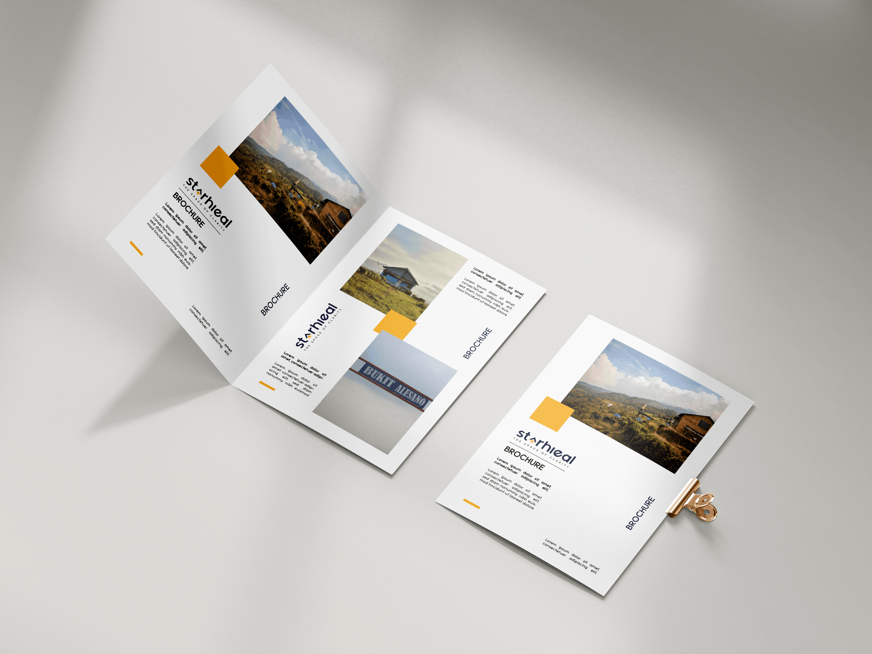 Starhieal Brand Identity - Artifact 5